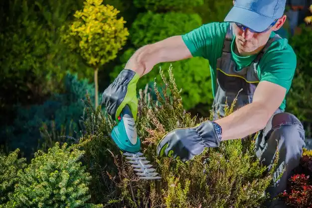 landscaping services Hayti Heights
